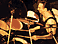 Terry Bozzio